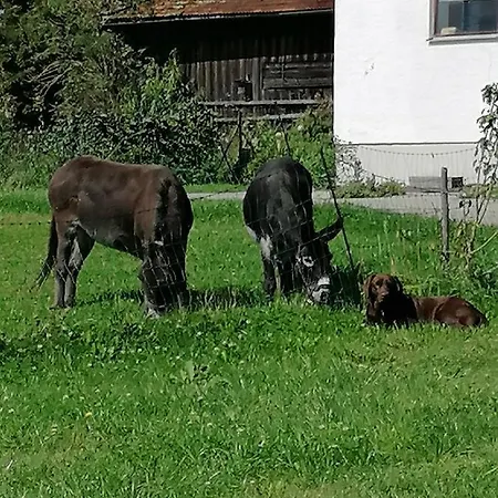 Naturhof Selbertinger Daire