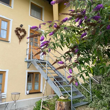 아파트 Naturhof Selbertinger *